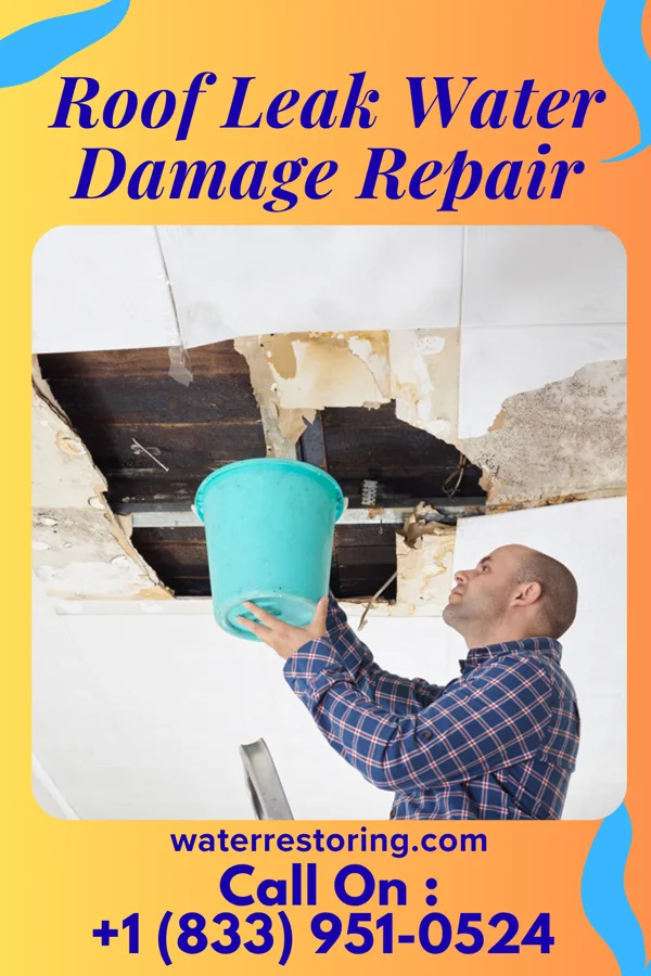 Roof Leak Water Damage Repair in Winslow, IN